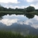 reflective pond on a piece of hunting land