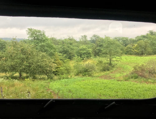 Landownership is Special