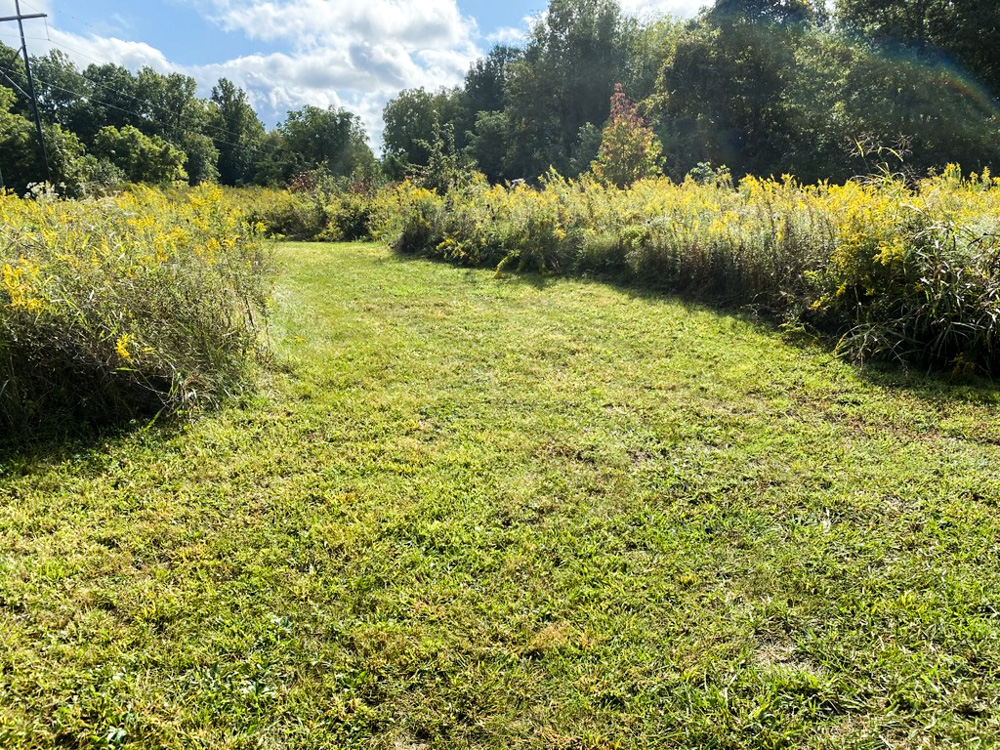 Lawrence County, Indiana Land For Sale A0255 Base Camp Country