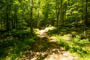 Indiana land for sale