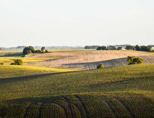 Country Land For Sale – Why Buy Now