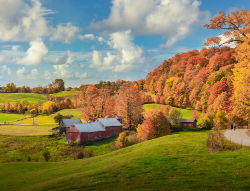 Why Buy a Rural Home?