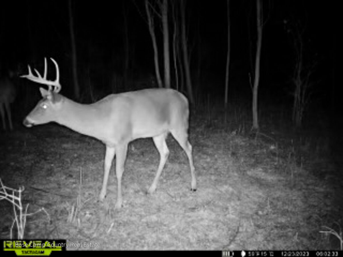 Switzerland County, INDIANA Base Camp Country