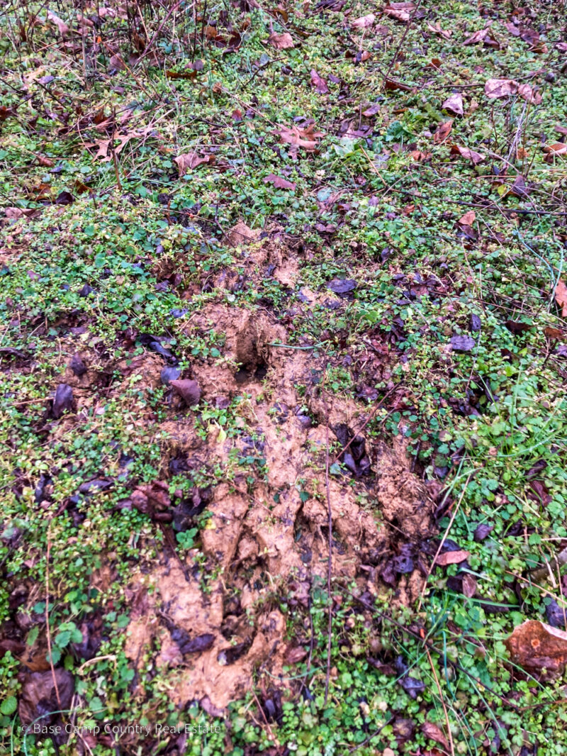 Switzerland County, INDIANA Base Camp Country