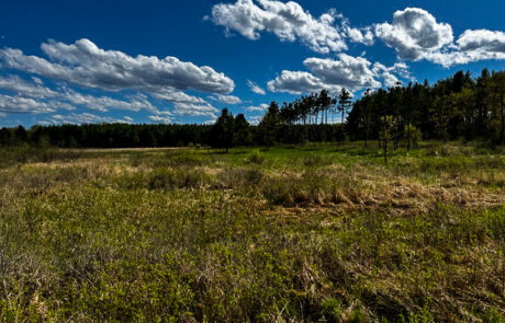 Clark County rural property