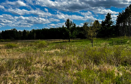 Rural property for sale in Clark County, WI