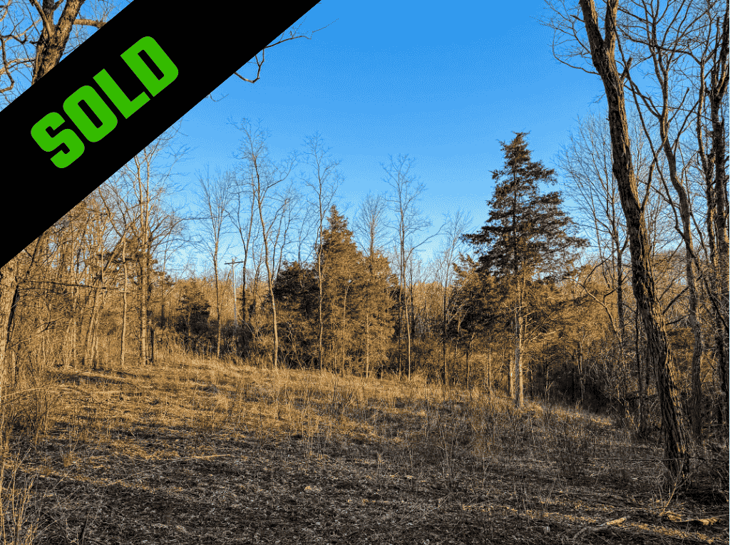 Copy of RESIZED sold property template