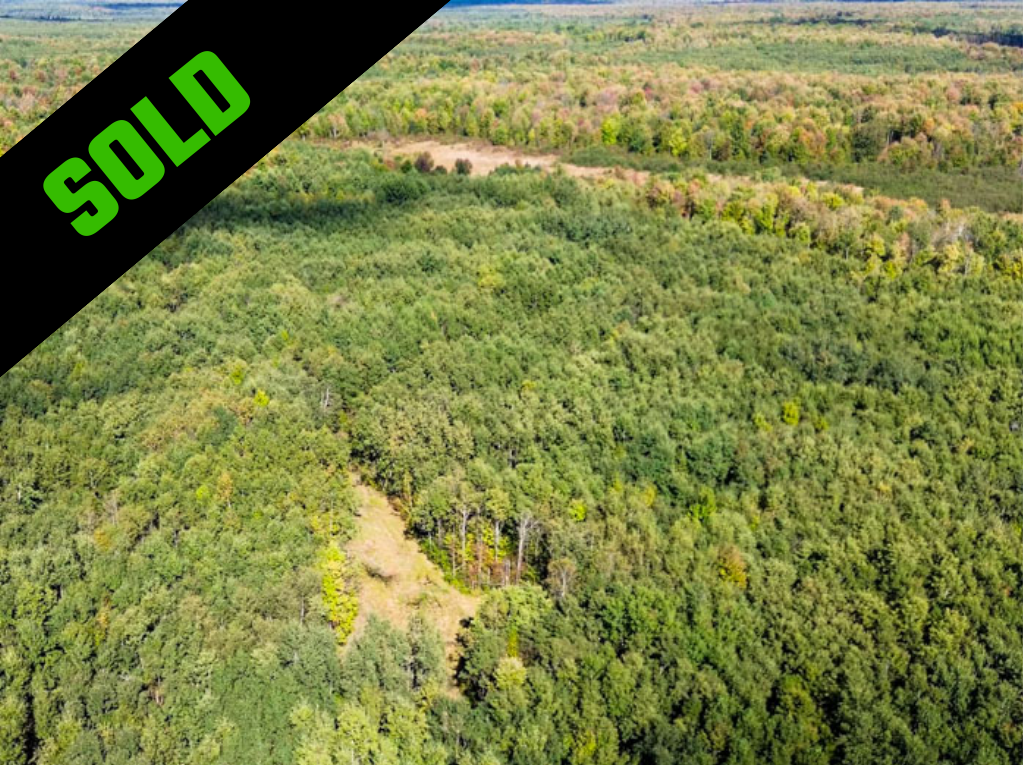 TEMPLATE Sold Property (17)