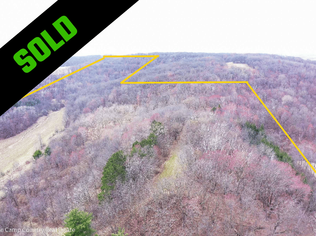 TEMPLATE Sold Property (69)