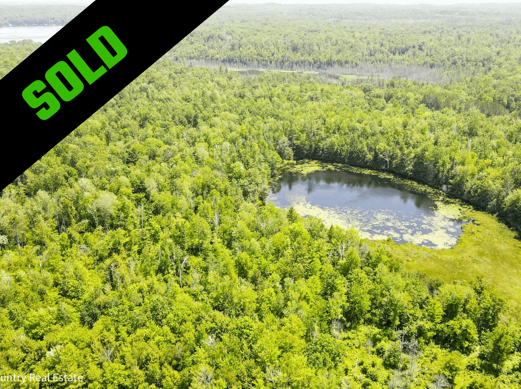 TEMPLATE Sold Property (86)